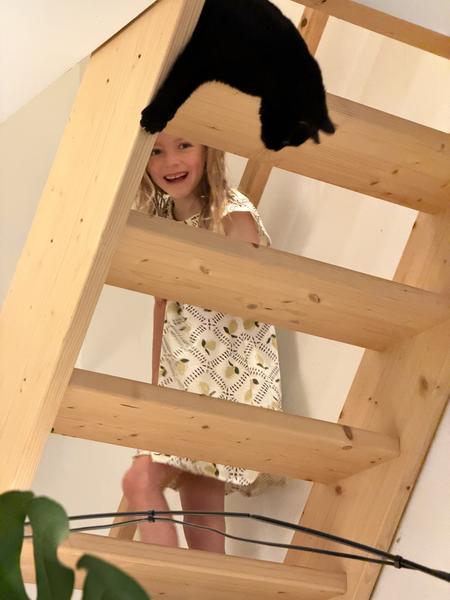 A joyful moment unfolds on a light wooden staircase, where a smiling child peeks out from between the steps, while a black cat playfully dangles from above